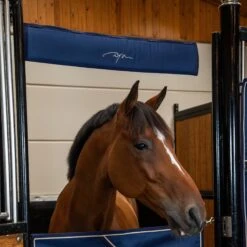 Dyon Show Stall Head Bumper