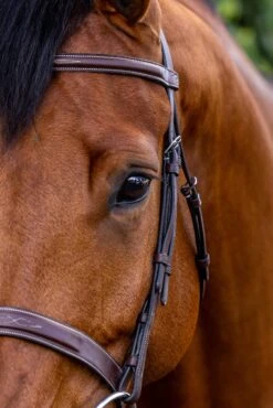 Dyon Wide Raised Fancy Stitched Hunter Bridle -RF Exclusive -Equestrian Supply Store ShadowDogPhotographyPrint 100 scaled 1