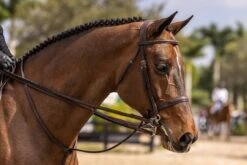 Dyon Anatomic Wide Raised Fancy Hunter Bridle 7 Dyon Anatomic Wide Raised Fancy Hunter Bridle -Equestrian Supply Store ShadowDogPhotographyPrint 58 scaled 1