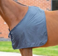 Shires Anti-Rub Satin Blanket Bib