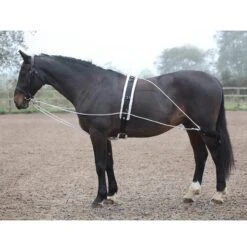 Shires Lunging Aid System