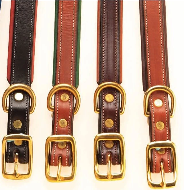 Padded Dog Collars By Tory Leather 2 Padded Dog Collars By Tory Leather - Image 2