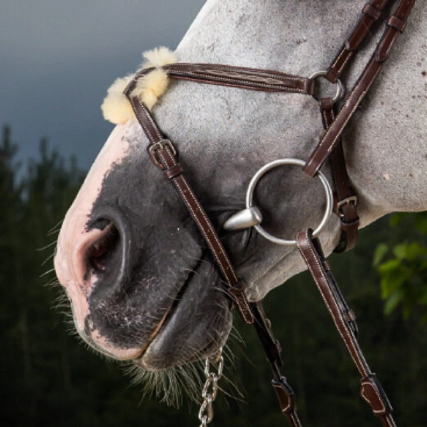 Dyon Figure 8 Noseband With Stainless Steel Fittings 2 Dyon Figure 8 Noseband With Stainless Steel Fittings - Image 2