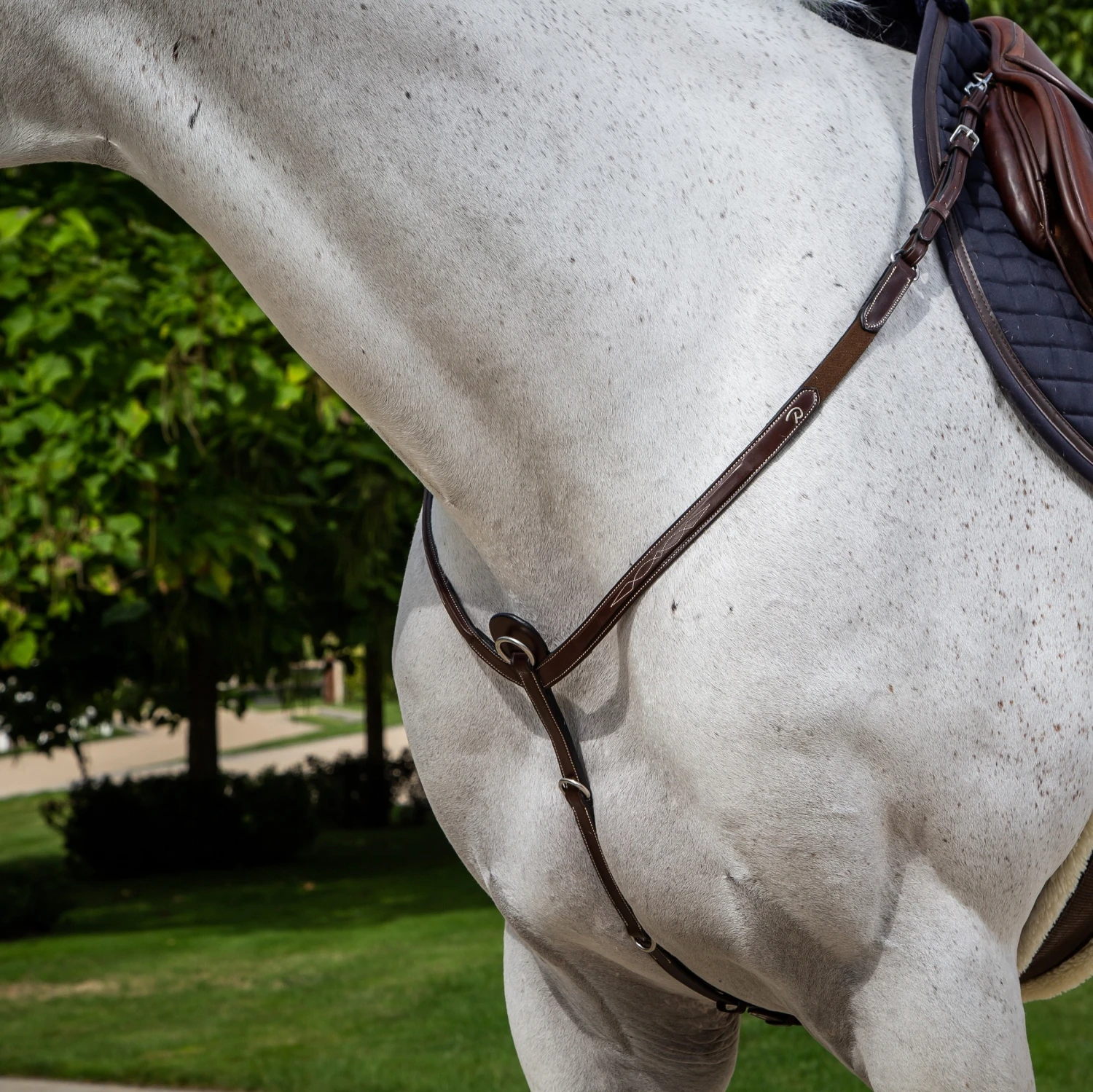 Dyon Fancy Breastplate W/Stainless Fittings 1 Dyon Fancy Breastplate W/Stainless Fittings