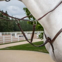 Dyon Running Martingale Attachment-Stainless Steel