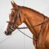 Dyon Raised Standing Martingale W/ Stainless Fittings