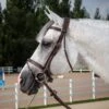 Dyon Flash Noseband Bridle Stainless Steel