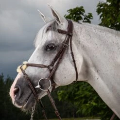 Dyon Anatomic Figure 8 Bridle With Stainless Fittings