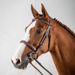 Dyon Anatomic Fancy Padded Hunter Bridle