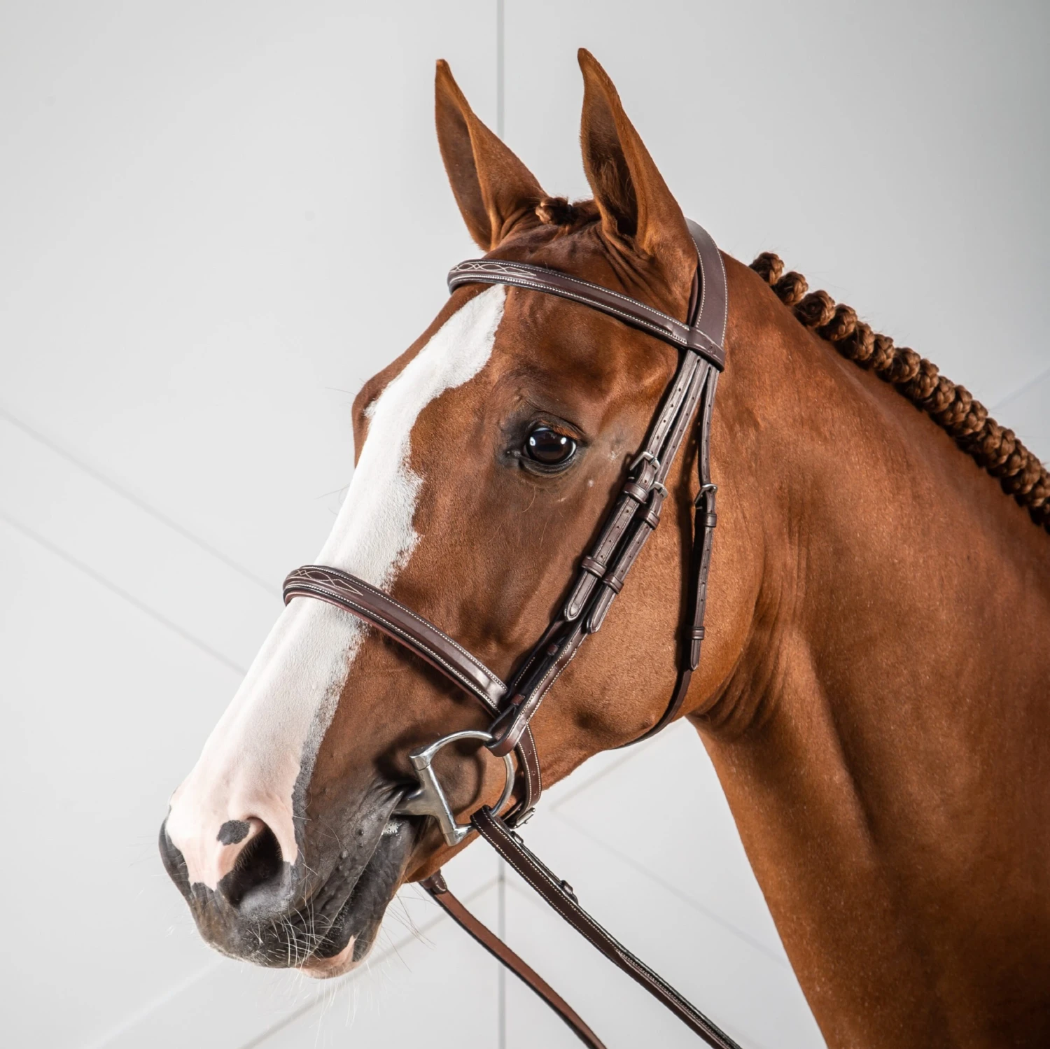 Dyon Anatomic Fancy Padded Hunter Bridle 1 Dyon Anatomic Fancy Padded Hunter Bridle