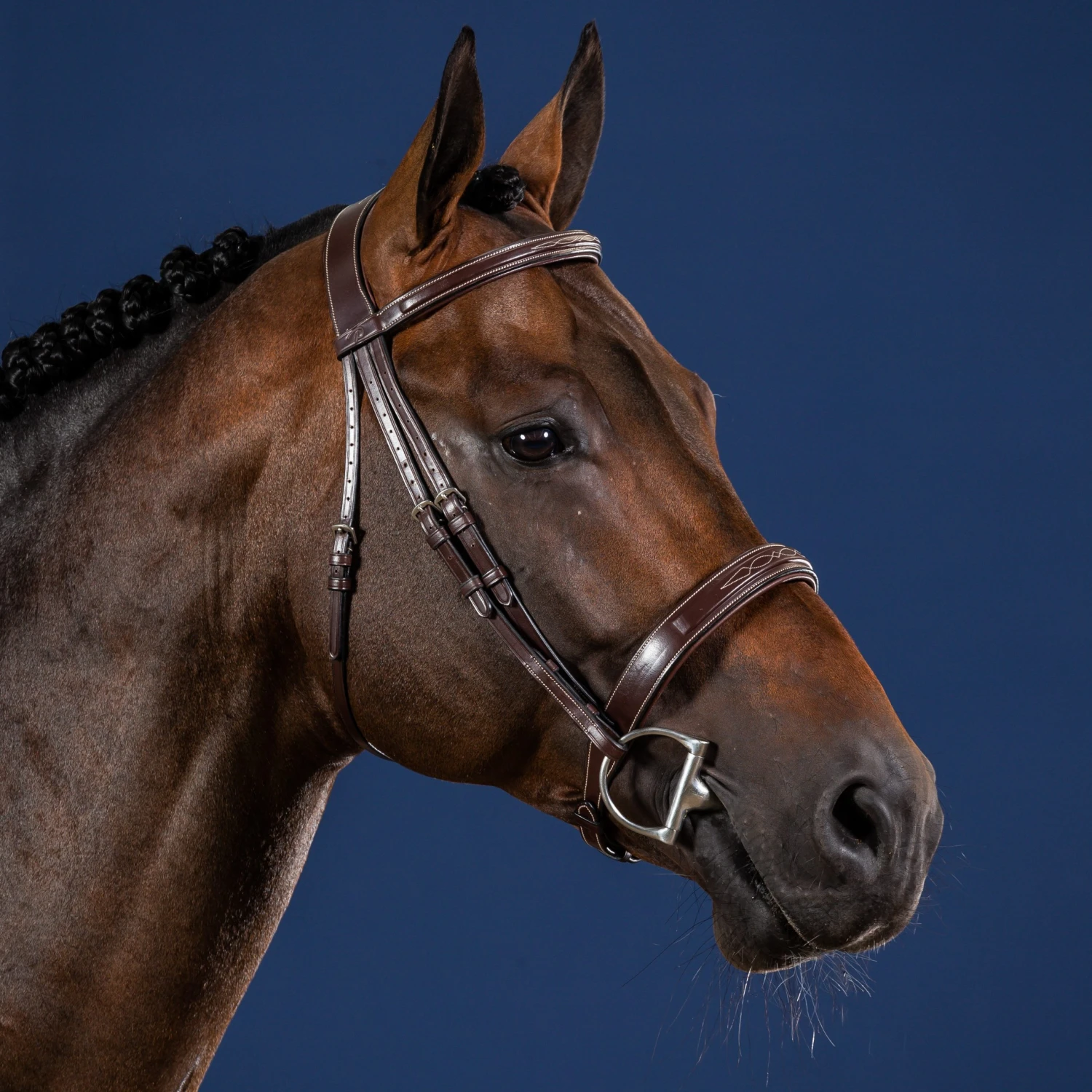 Dyon Wide Nose Hunter Bridle US Collection 1 Dyon Wide Nose Hunter Bridle US Collection