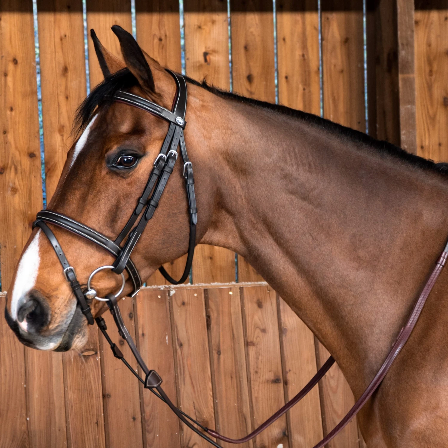 Dyon Working Flash Regular Or Snap Bridle 1 Dyon Working Flash Regular Or Snap Bridle