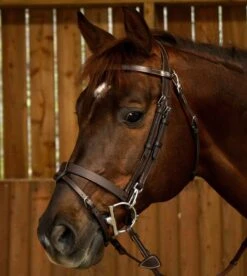 Dyon Working Flat Snap Flash Bridle