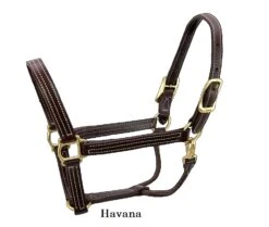 Walsh British Triple Stitched Halter 1″ Horse Size 6 Walsh British Triple Stitched Halter 1″ Horse Size -Equestrian Supply Store Walsh British Halter Havana