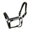 Walsh “Dressage” Padded Halter
