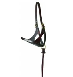 Walsh Foal Grow With Me Halter