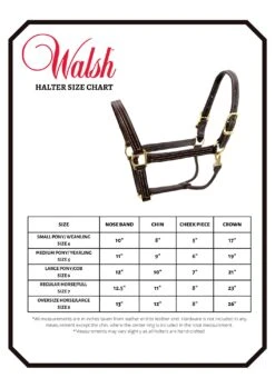 Walsh Halter 3/4″ Cob -Equestrian Supply Store Walsh Halter Size Chart 4