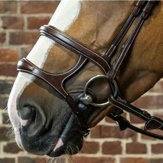 Dyon Double Noseband With Brass Fittings 2 Dyon Double Noseband With Brass Fittings - Image 2