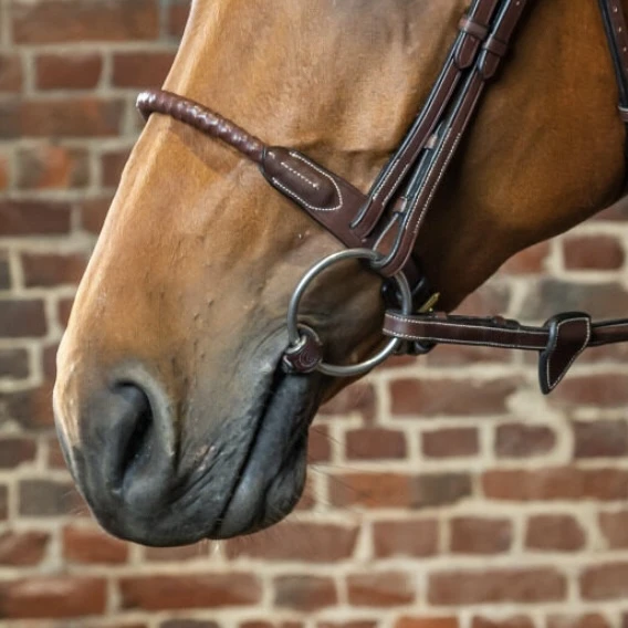 Dyon Leather Covered Rope Noseband 2 Dyon Leather Covered Rope Noseband - Image 2