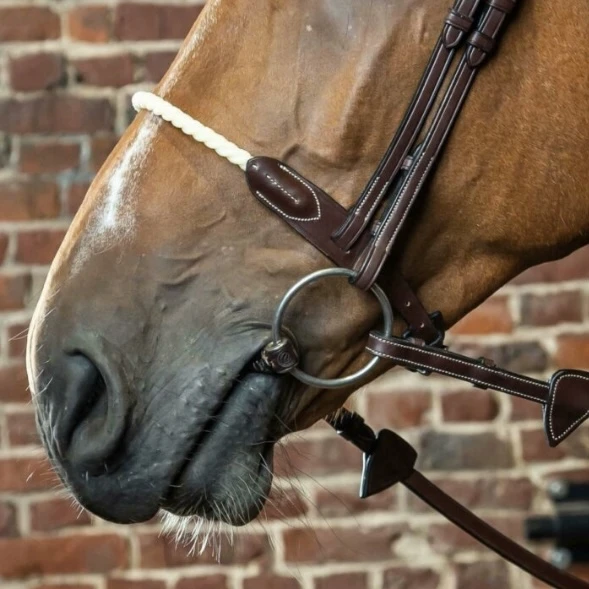 Dyon Rope Noseband 2 Dyon Rope Noseband - Image 2