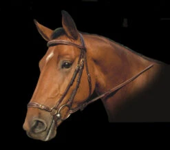 Dyon Fancy Padded Drop Noseband Bridle- Cob Only