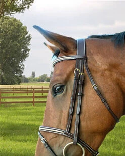Dyon Fancy Padded Drop Noseband Bridle- Cob Only -Equestrian Supply Store p 11358 dyon135.3
