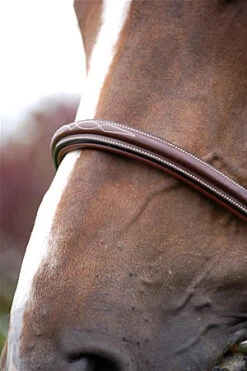 Dyon Raised Fancy Stitched Classic Hunter Bridle -Equestrian Supply Store p 11363 dyon180.3