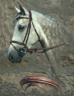 Dyon Flash Noseband Bridle Brass- Cob & Over Only -Equestrian Supply Store p 11374 Dyon Fancy Padde 4df80cf3addf8