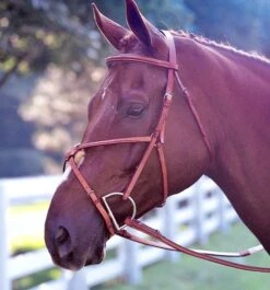 Edgewood Fancy Padded Figure 8 Bridle