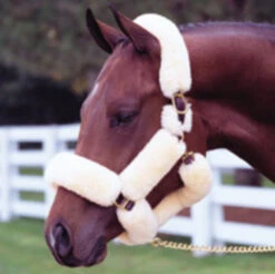 Walsh Wool Covered Shipping Halter