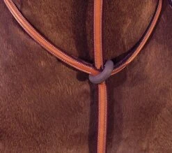 Edgewood Raised Standing Martingale