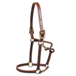 Walsh Halter 3/4″ Weanling