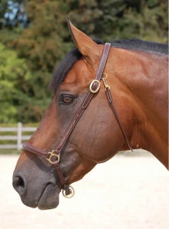 Dyon Fancy Grooming Slip