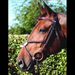 Dyon Figure Eight “No Ring” Special Bridle