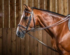 Dyon Rubber Lined 1/2″ Draw Reins