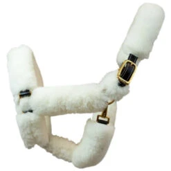Walsh Wool Covered Shipping Halter -Equestrian Supply Store walshshippinghalter